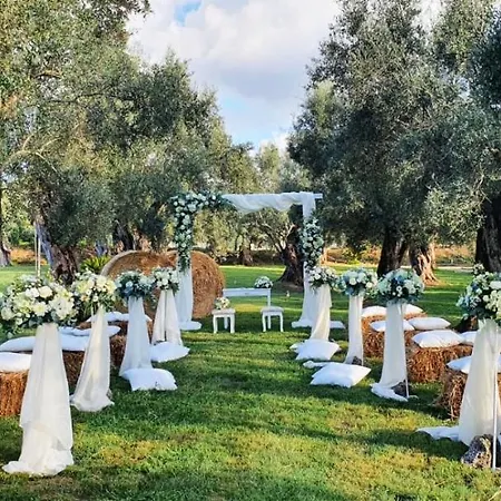 Uliveto Principessa Cittanova (Calabria)