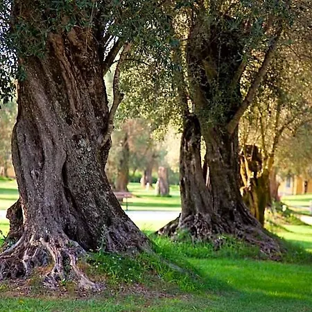 Uliveto Principessa 4*