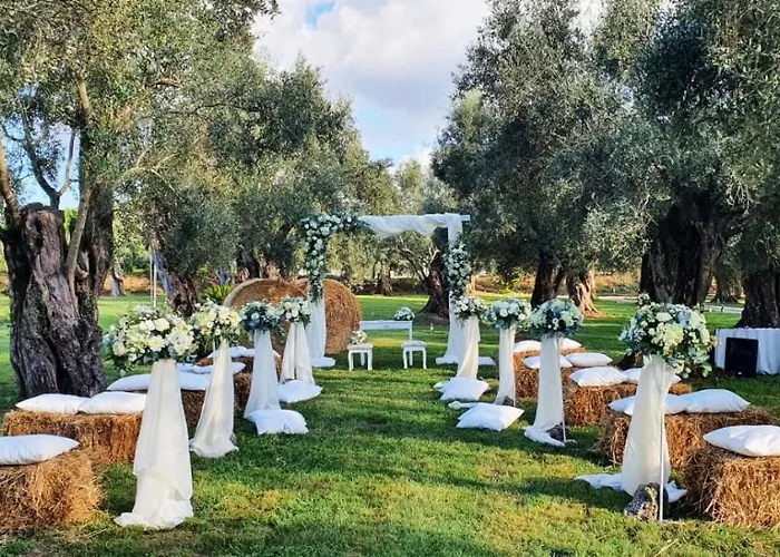 Uliveto Principessa Cittanova (Calabria)