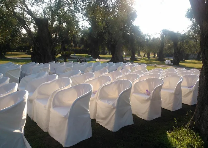 Uliveto Principessa Cittanova (Calabria)